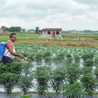 Fertiliser imports at risk ahead of sowing season, 26% sourced from current hotspot West Asia: CareEdge Report