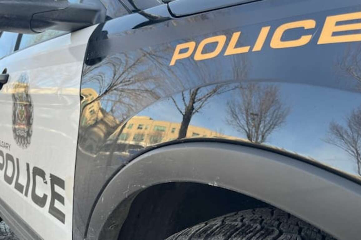 1 dead as police investigate northeast Calgary shooting