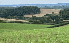 Maximise benefits of paddock grazing