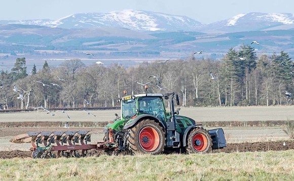 Scottish farm incomes plunged in 2019/20