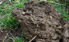 How adding soil carbon can boost soil health