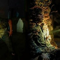 Bumi panas, jamur makin ganas-tapi bisa jadi penyelamat lingkungan