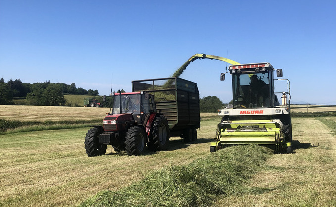 A classic fleet makes for economical forage harvesting for William Muir and Son. 