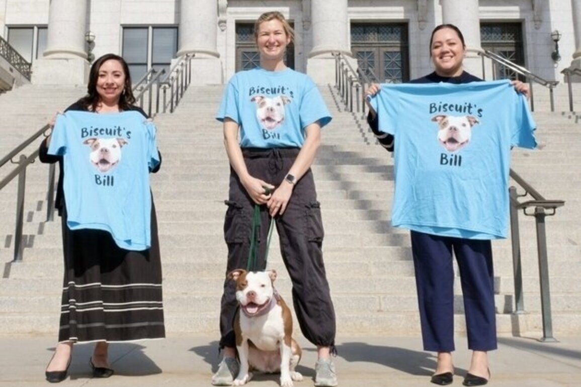 Utah lawmakers pass 'Biscuit's Bill,' freeing unfairly impounded animals 