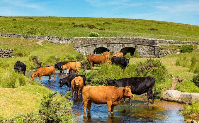 "We are working hard to rebuild trust and understanding with farmers and land managers on Dartmoor."