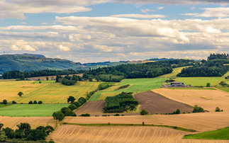 Scottish Rural Support Plan sets out direct support commitments