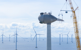 'Just the beginning': Number of wind turbines installed rose 23 per cent in 2025