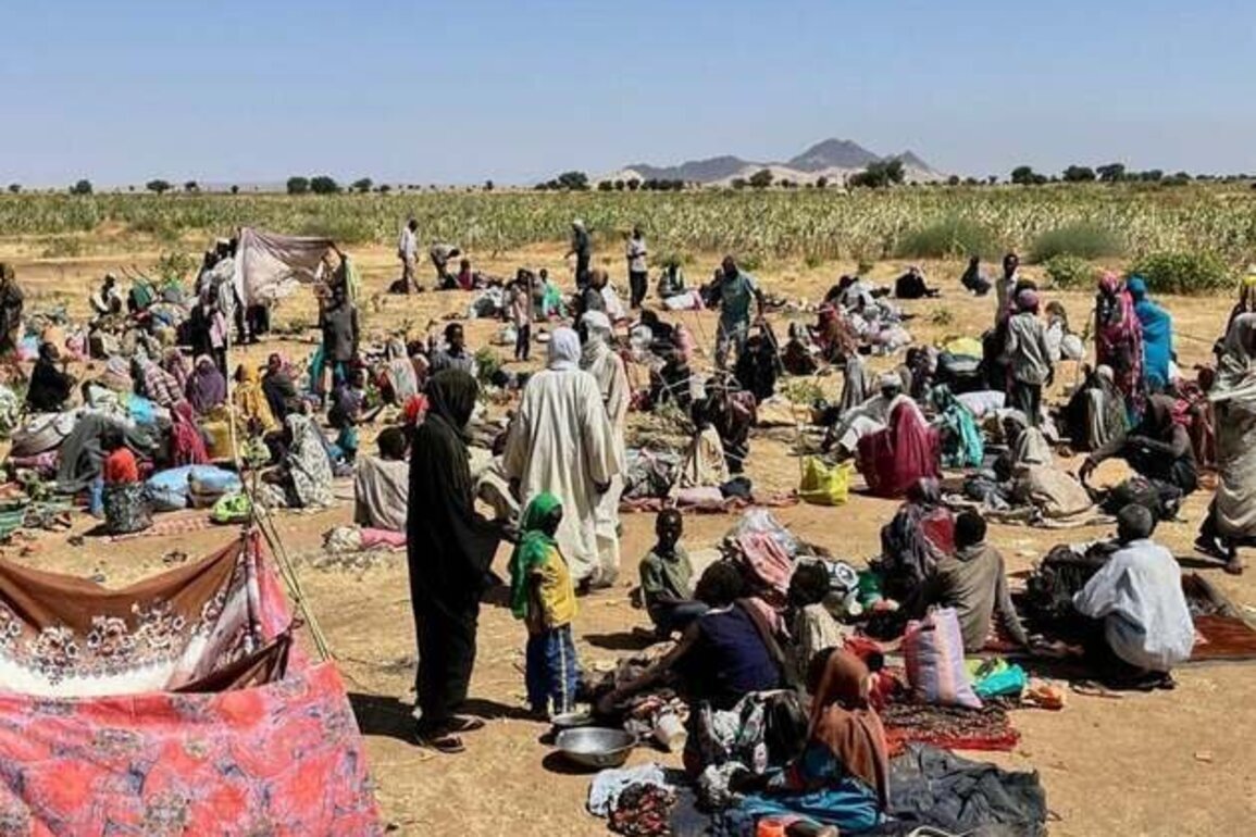 Sudan: People with Disabilities Targeted in North Darfur