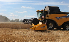 Hybrid rye: a practical alternative as wheat margins tighten