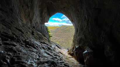 Discover US opportunities amid the uncertainty
