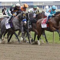 Napoleon Solo captures Preakness; top 3 did not run in Kentucky