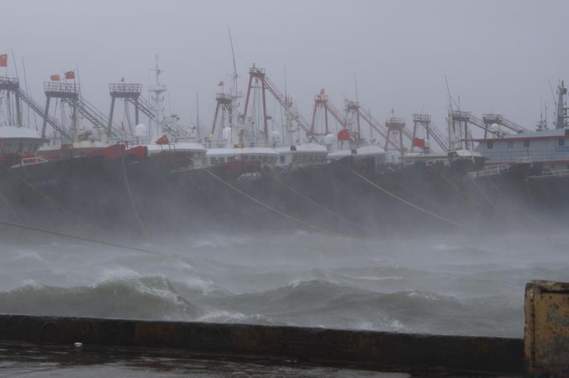 Update: Typhoon Matmo makes landfall in China's Guangdong