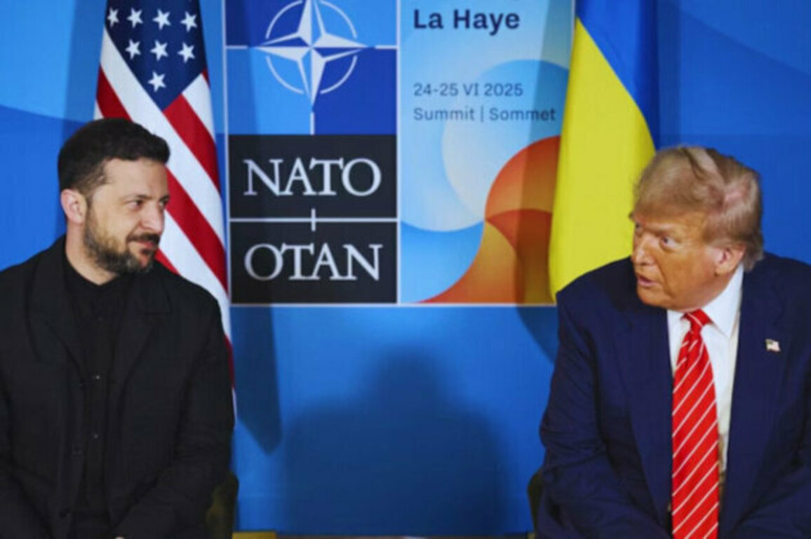 Trump to Zelensky: Why Havent You Hit Moscow Yet