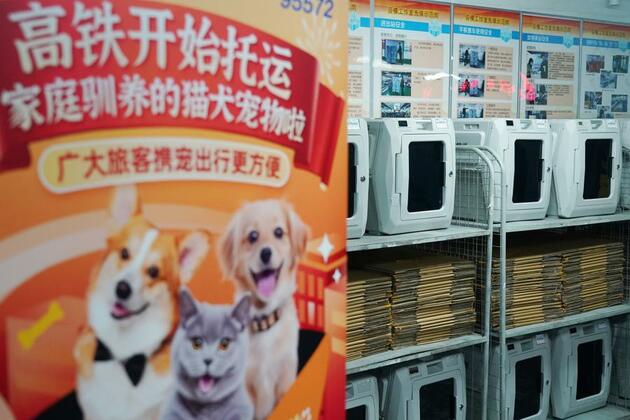 Furry companions ride high-speed rails as China expands pet travel options