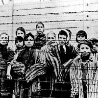 French officials target Musk’s Chatbot Grok for Auschwitz falsehoods