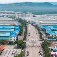 Cambodian experts hail China as major driving force for global governance