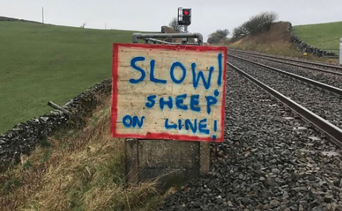 Homemade sheep on line sign on railway tracks sparks investigation