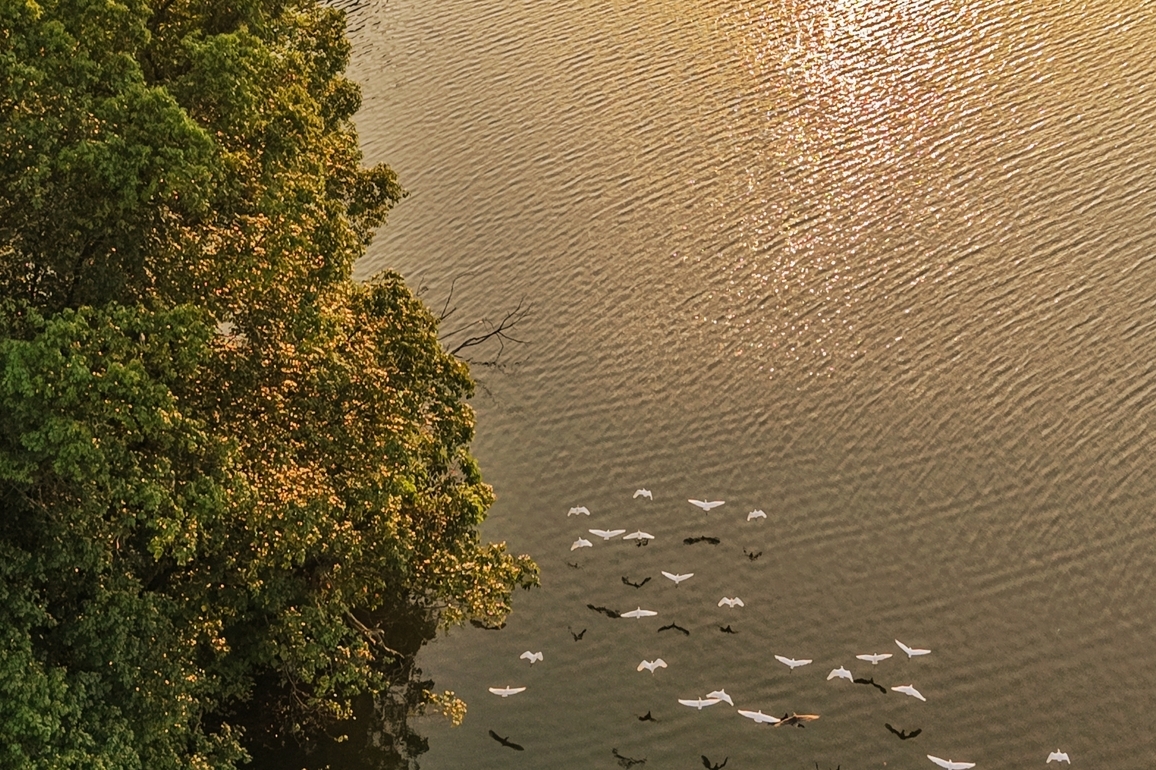 CHINA-CHONGQING-LONGSHUI LAKE-ECOLOGY(CN)