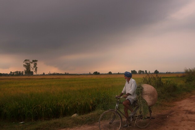 Punjab: Paddy arrival nearing 150 LMT mark; crosses 144 LMT figure