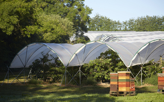 Fruit focus for historic mixed farm