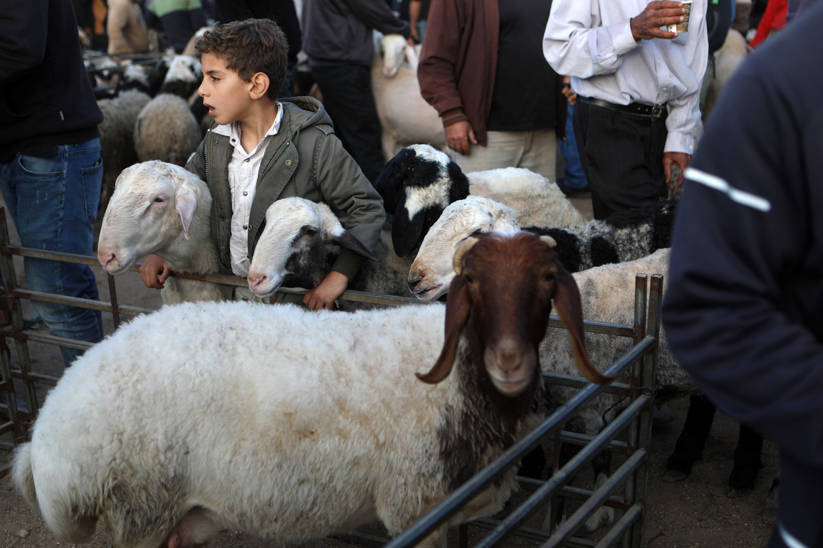 MIDEAST-HEBRON-EID AL-ADHA-MARKET