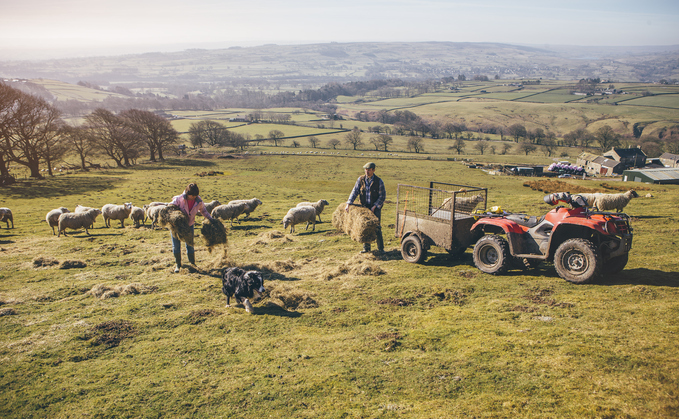 'A positive step': Government announces revamped £345m sustainable farming package