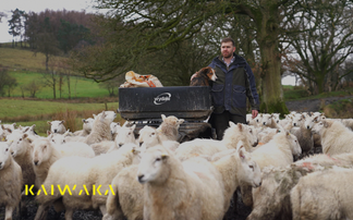 Q&A: Fifth generation and still going strong — Ioan Humphreys on farming in mid-Wales