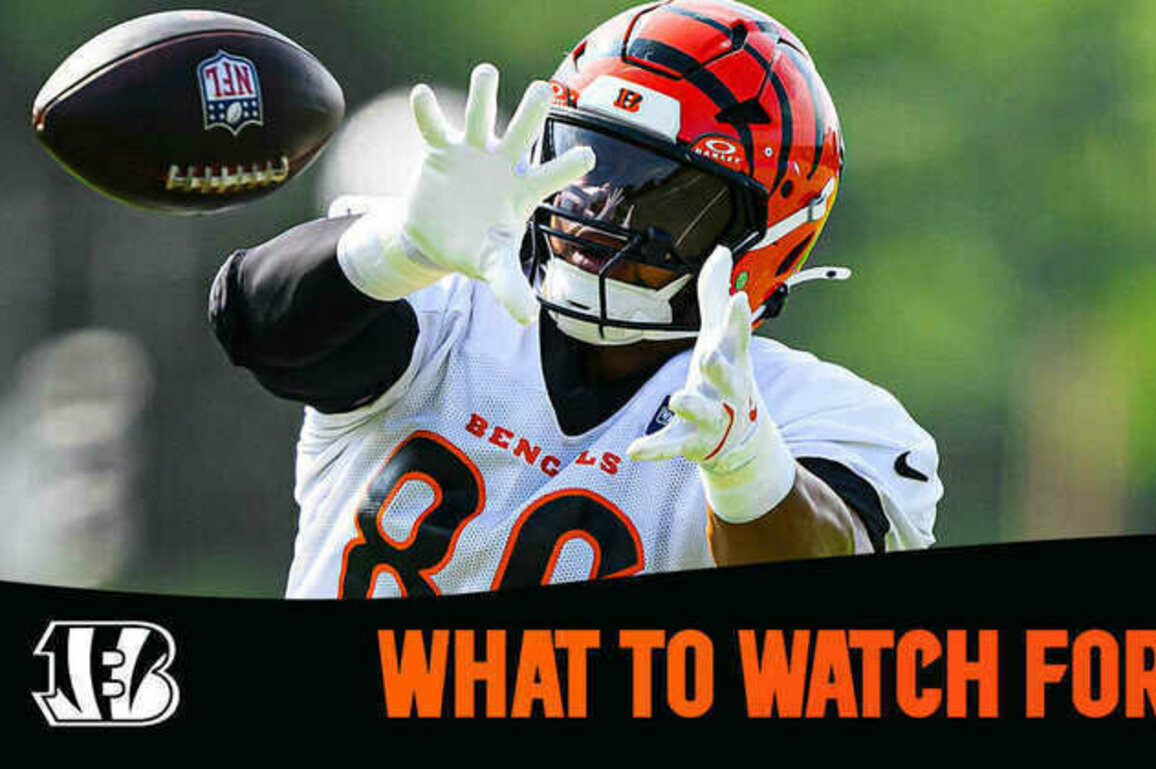 WHAT TO FOR | Bengals at Commanders Preseason Week 2