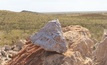 The Pilbara Minerals Pilgangoora development project in Western Australia has caught the imagination of the market