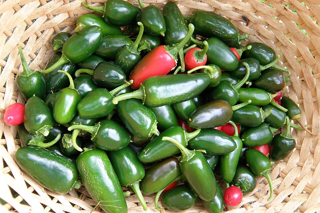 Mexican jalapeños led to outbreak of Salmonella in 27 US states