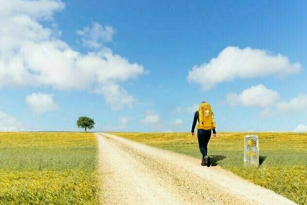 Want to walk the Camino de Santiago pilgrimage? Leave your phone at home