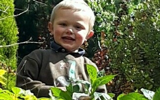 'Brave' three-year-old killed by 'dangerous' dogs on-farm
