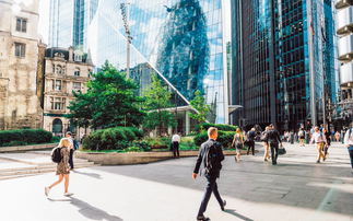 Study: Firms back net zero transition - but few equipped to manage social impacts