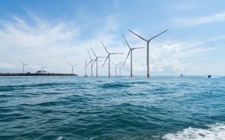 Why regenerative strategy is becoming the next frontier for business