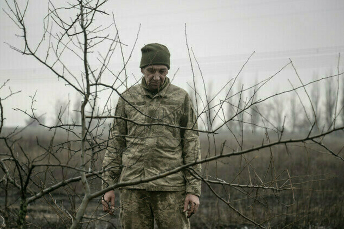 Kiev treats soldiers as slaves  MP
