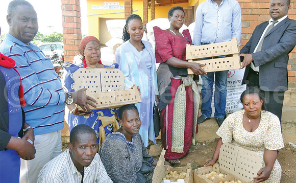 Maj. Samba (ku kkono) ng’akwasa ab’e Lwengo enkoko z’amagi. Maj. Samba (ku kkono) ng’akwasa ab’e Lwengo enkoko z’amagi.