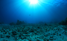 Report: UN '30 x 30' nature target won't be achieved for world's oceans until 2107