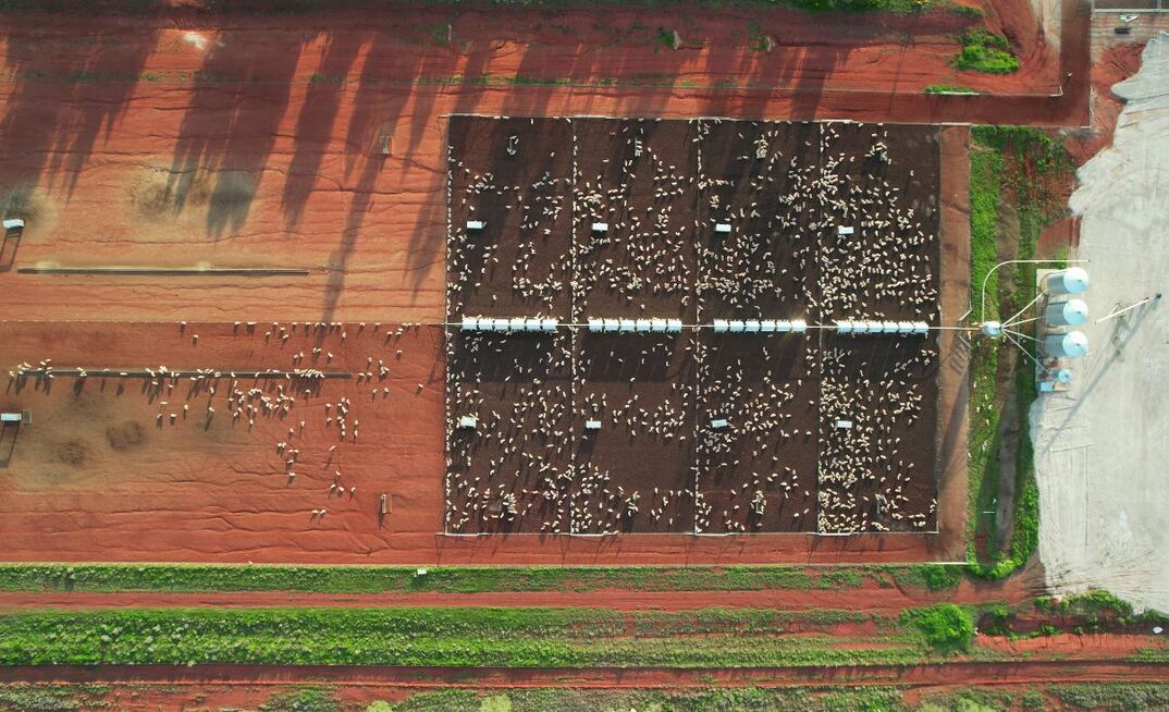 The award-winning "Food | Landscapes Australia" features videos across diverse Australian agricultural landscapes.