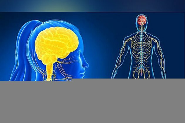 Study on brain's response to perceived threats useful for treatment of post-traumatic stress disorder