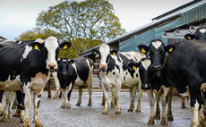 NFU to release livestock 'myth buster' to tackle misinformation on climate change