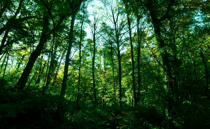 UK BPA providers adopting shared set of sustainability principles