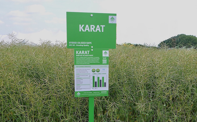 NPZ Karat WOSR variety