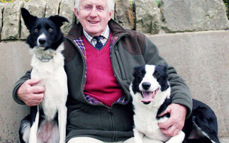 Meet the 95-year-old sheepdog trainer still succeeding at Skipton sales