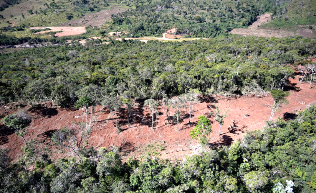 Dematamento em área de mata atlântica