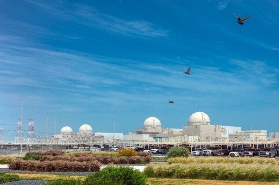 UAE's Barakah Plant delivers first year of full-fleet operations