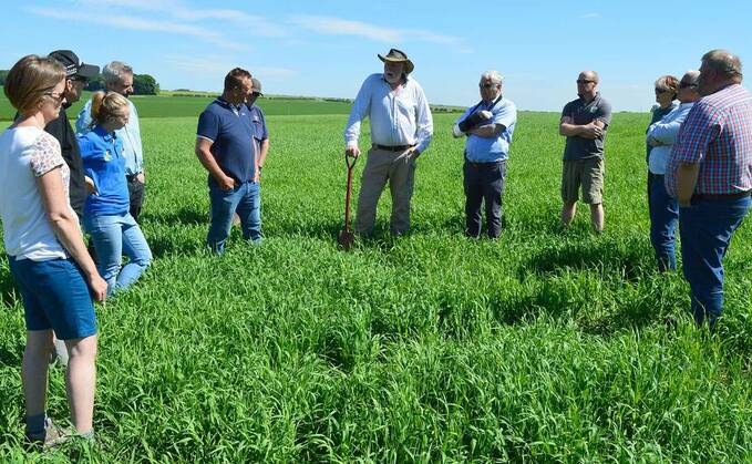 Yorks farmers join low carbon barley trial
