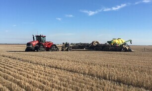 A new report from Rabobank has forecast a drop in Australia's winter crop plantings.