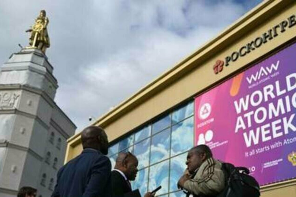 Small nuclear reactors could meet Africa's energy needs - official
