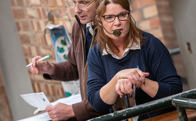 How to become a livestock auctioneer: "The buzz of a good sale is hard to beat"