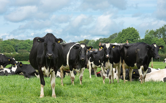 New tool allows dairy farmers to find best environmental options for their land